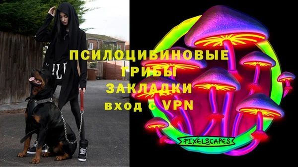 прущая мука Аркадак