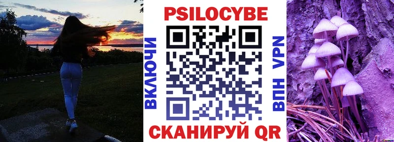 Псилоцибиновые грибы Psilocybine cubensis Сергач